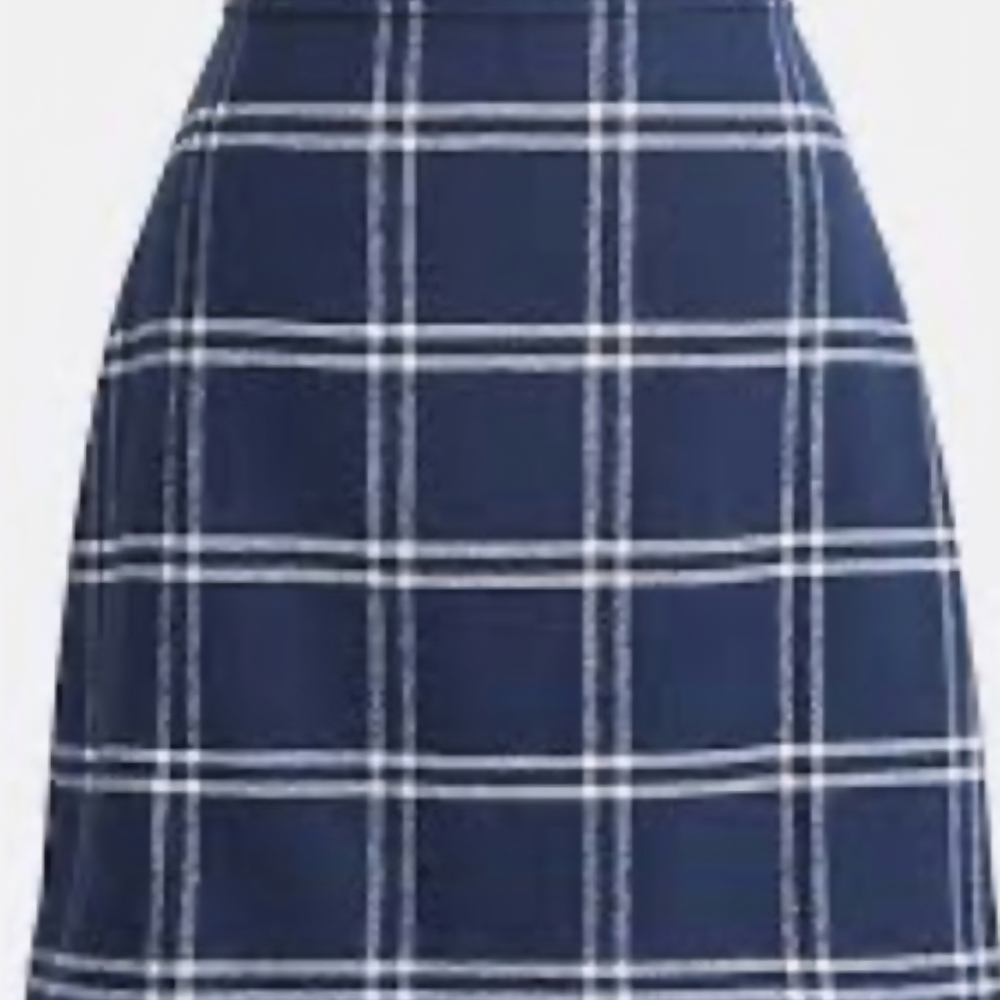 J. Crew Blue and White Plaid A-Line Skirt